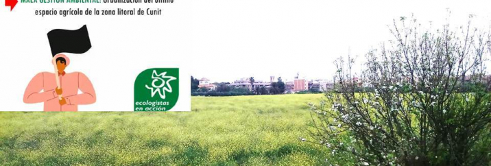 Bandera Negra per mala gestió ambiental a Cunit Bandera Negra per mala gestió ambiental a Cunit